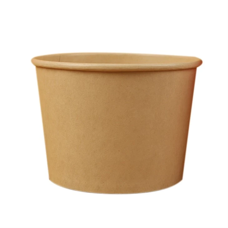 Paper Takeaway Bowl